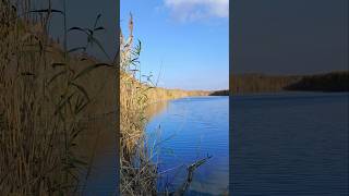 Осеннее 🍁 озеро. Харьковская область