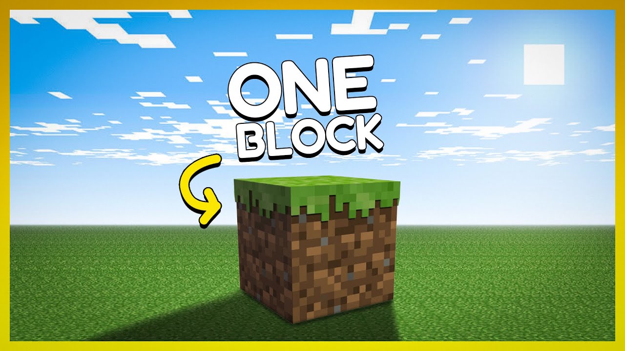 I Placed A Block In Minecraft