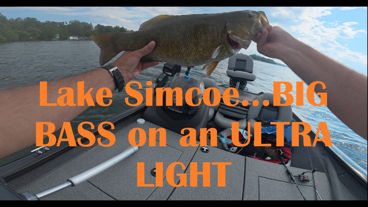 Lake Simcoe, BIG Smallmouth Bass on an ULTRA light rod!