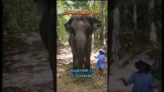 Поездки, экскурсии ИНДИВИДУАЛЬНЫЕ И ГРУППОВЫЕ Сочи, Абхазия, Красная Поляна🔥🔥🔥