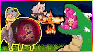 Echidna Wars Dx - With Sachiho Burning Furry (1/3) #gameplay #games #anime