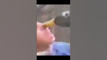 Funny videos compilation - Part 11