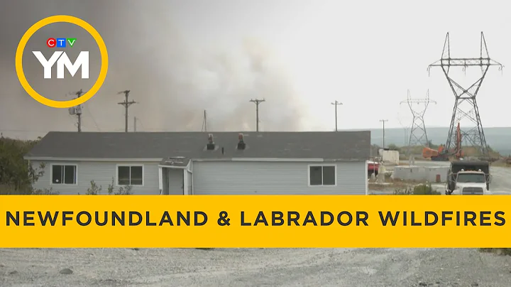 Conception Bay Mayor Discusses Out-of-Control Fires in Newfoundland & Labrador | Your Morning