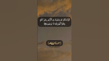 سورة القصص الآية ٣٨ الى ٤٠ بصوت الشيخ محمد صديق المنشاوي
