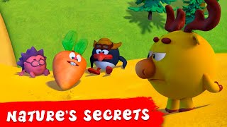 PinCode | Nature's Secrets 🍃 Best episodes collection | Cartoons for Kids