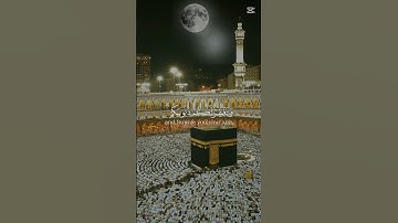 #آيات_بينات_من_الذكر_الحكيم#لايك#إشتراك#اكسبلور#تيك توك