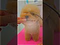 Grooming is teamwork✂︎doggrooming #creativegrooming #grooming #pets #teddybearcut #petgrooming