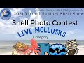 Shell Photo Contest - Live Mollusks Category