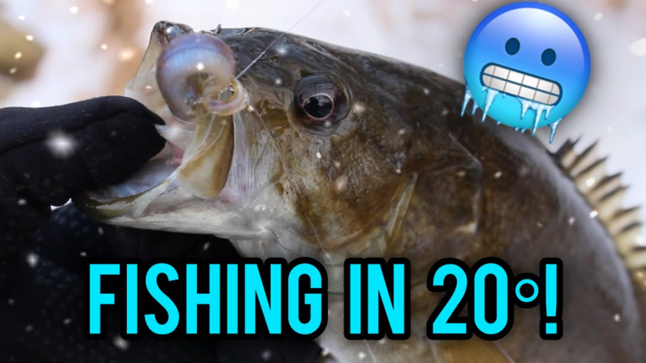 Winter Smallmouth Bass Fishing!!🥶🎣