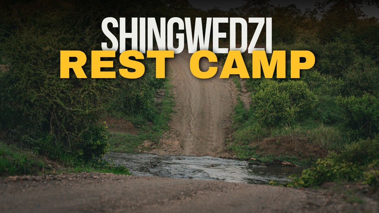 Shingwedzi Rest Camp Kruger National Park | Full Camp Tour & Review