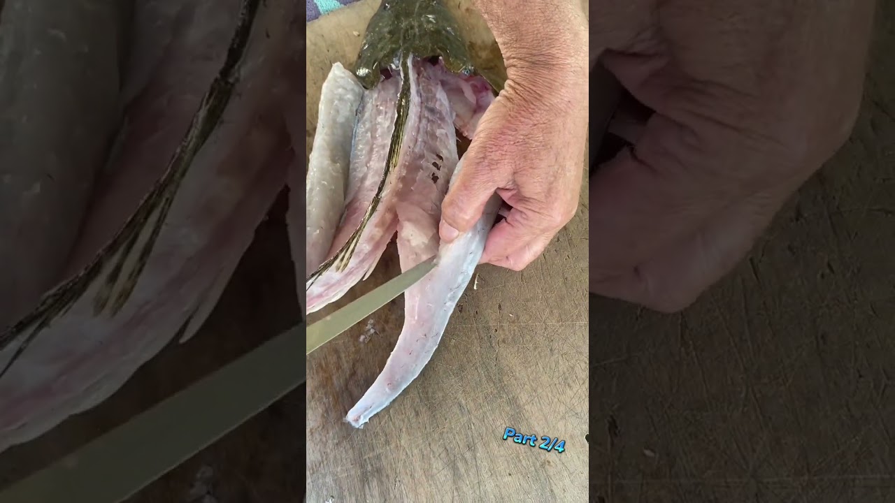 The proper way to fillet a dusky flathead
