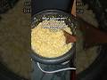They Re So Affordable Too Pasta Ricecooker College Cooking Recipes Easymeals Dormroom They Re So Affordable Too Pasta Ricecooker College Cooking Recipes Easymeals Dormroom