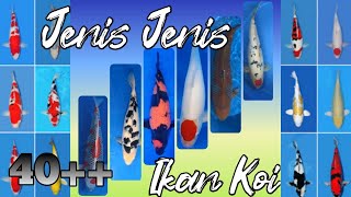 JENIS IKAN KOI