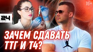 Как расшифровать анализы на гормоны щитовидной железы? Гипотиреоз и гипертиреоз // 16+