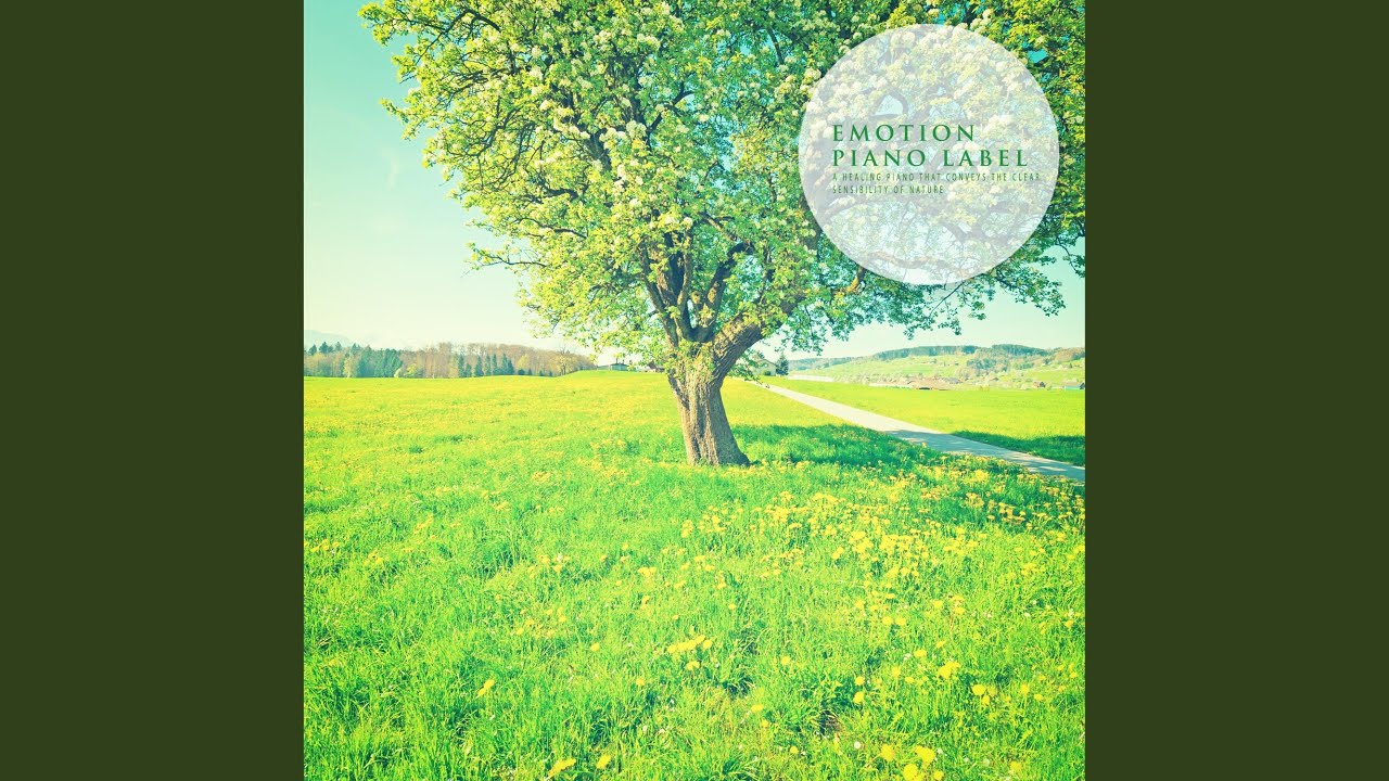 Forever (Nature Ver.) adlı videoyu YouTube'da izle Forever (Nature Ver.) adlı videoyu YouTube'da izle