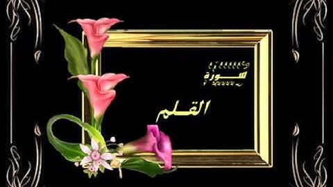 سورة القلم للشيخ رشيد إفراد