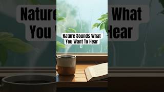 Aesthetic Study Beats That Actually Work… #loomandlofi #focusmusic #studylofi