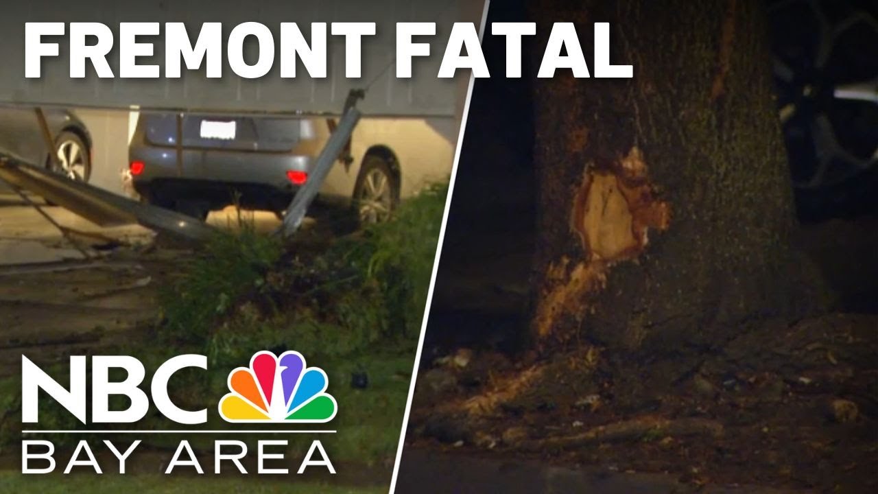 2 dead in Fremont after car slams into tree, house - YouTube