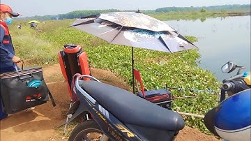 Gặp Anh Cần Thủ Với Bộ Cần Câu Cá Chuyên Nghiệp | Thuỳ Dung Vlog # 114