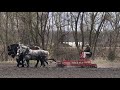 Morning chores, harnessing horses, cultimulching and drilling oats at Summerbend Farm.