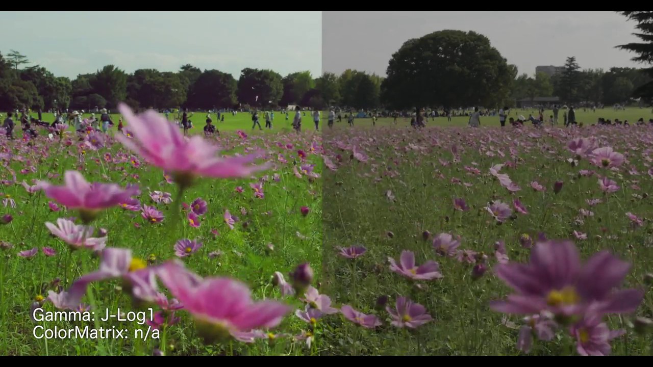 JVC GY LS300CH Ver 2 0 TEST - YouTube