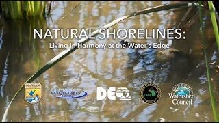 Natural Shorelines: Living in Harmony at the Water's Edge