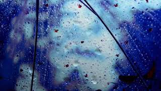 Raindrop Background Video One Hour HD Motion Background For Green Screen