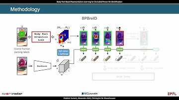 Body Part-Based Representation Learning for Occluded Person Re-Identification