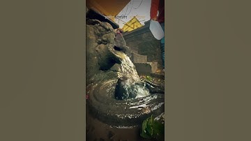 Bholenath Baba status🚩Mahadev status 🌟Shiv ji status ❤️Mahakaal shivling 😍#shorts