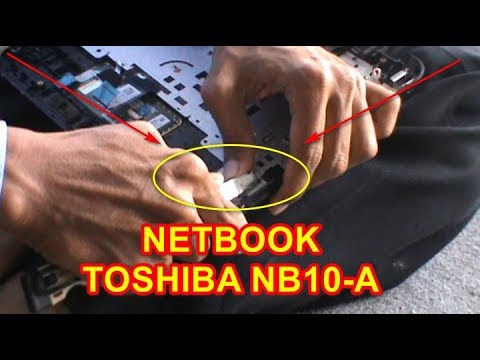 What Netbook Toshiba