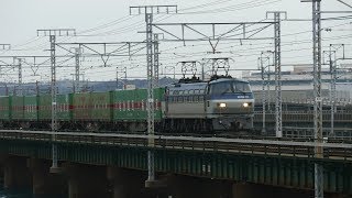 2019/03/28 JR貨物 朝の浜名湖三番鉄橋を渡る貨物列車3本と他2本