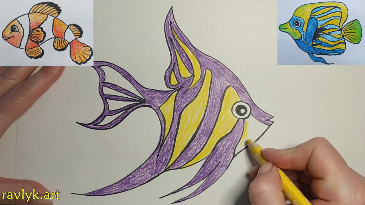 How to Draw a Tropical Fish