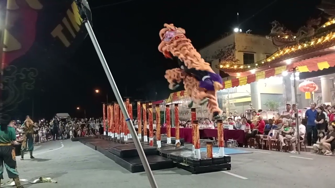 Pertandingan singa di kelapa sawit kulai jb 10.01.2026 