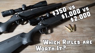 Famous $350 Hunting Rifle vs $1,000 vs $3,000 - What you Actually Get for the Price Wealth