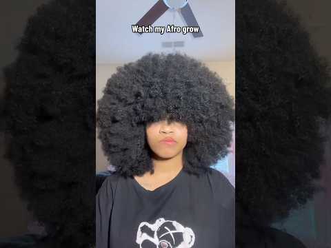 Watch My Afro GROW In 10 Seconds Afro Hair Haircare