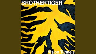 Vision Tunnels