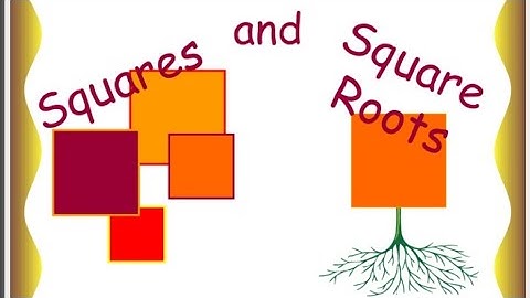 Squares and Square root | Activity | Shinning Era