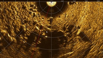 Scanning Sonar RS900