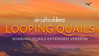 Looping Quails (Soaring Quails Orchestral Cover) [5min Version]