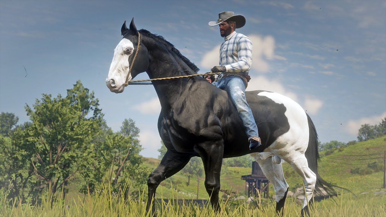 Arthur Morgan Tames a Beautiful Black Overo American Paint Horse RDR2 ...