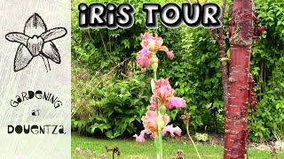 Download Lagu Iris Tour of my Garden MP3 Download Lagu Iris Tour of my Garden MP3