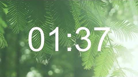 3 Min Timer music bird, relax music with nature sounds in the forest for work and study
