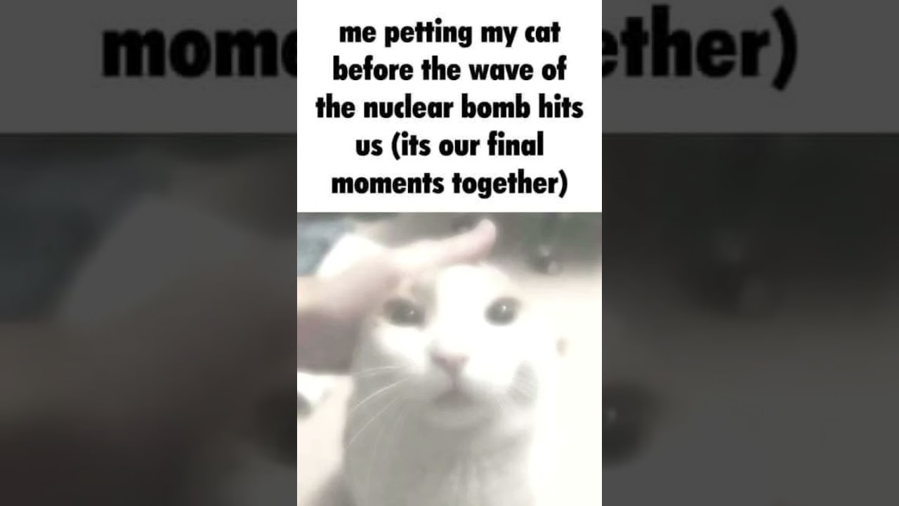 Me petting my cat before the wave of the nuclear bomb hits us - YouTube