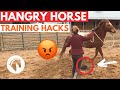 Horse Pushy At Feeding Time: Easy Techniques