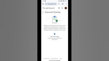check your password/best password manager/google password