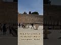 Beautiful scenes at the Western Wall in Jerusalem - Kotel