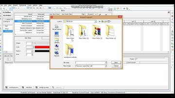 Bars In Primavera P6