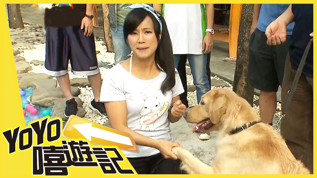 【台南】超萌狗醫生！寵物放風趣！YOYO嘻遊記S13 第18集｜香蕉哥哥 彩虹姐姐｜旅遊｜兒童節目