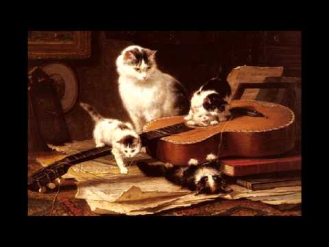 Jos Ferran Macario Sors - Etude Op.6 ,No.9 in D mi...
