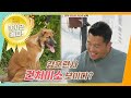 [#개는훌륭하다] 견생 5개월차 테일이! 🐶 강훈련사가 건치미소를 보인 이유는? ㅣ KBS 210712 방송